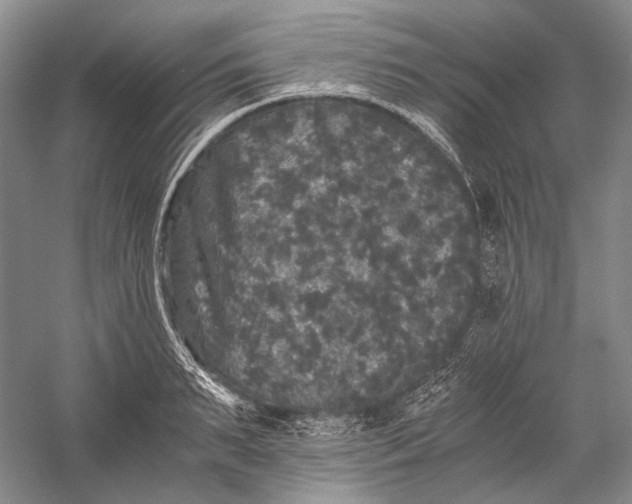 X0000058760895200510171156
