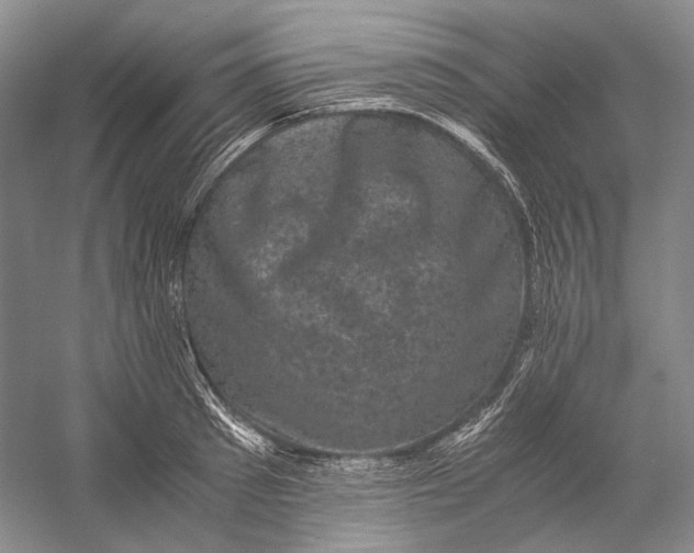 X0000058760897200510171156