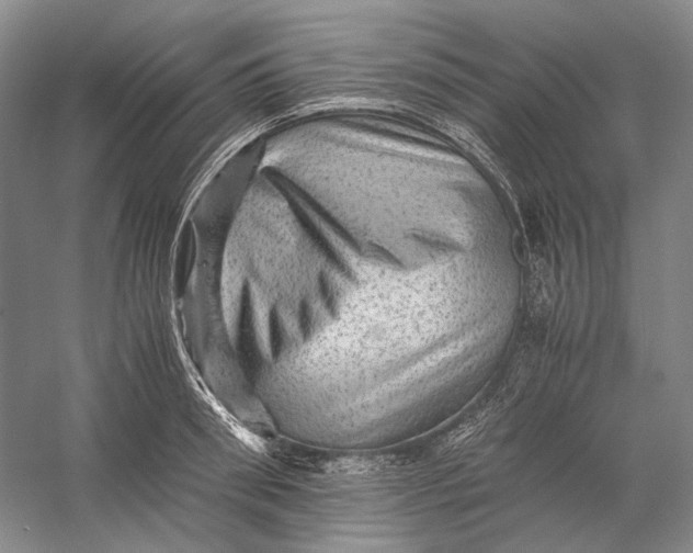 X0000058760898200510171156