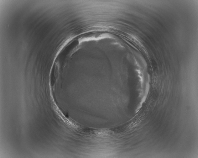X0000058760899200510171156