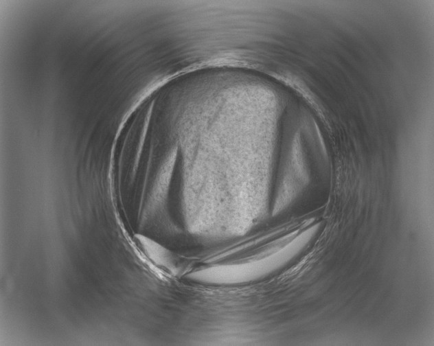X0000058760902200510171156