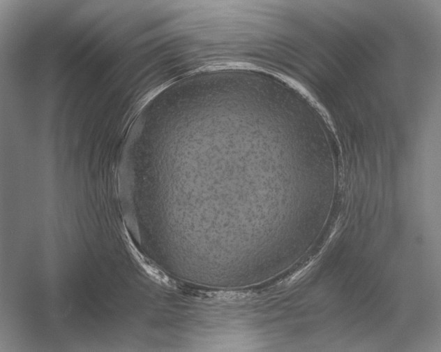 X0000058760905200510171156