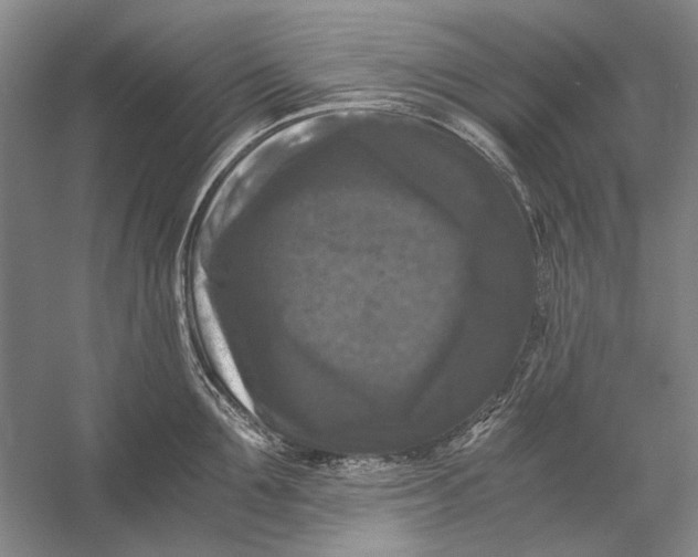 X0000058760907200510171156