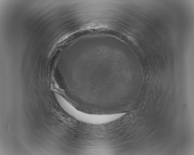 X0000058760920200510171155