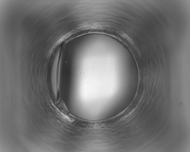 X0000058760922200510171155