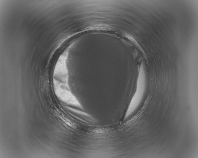 X0000058760923200510171155