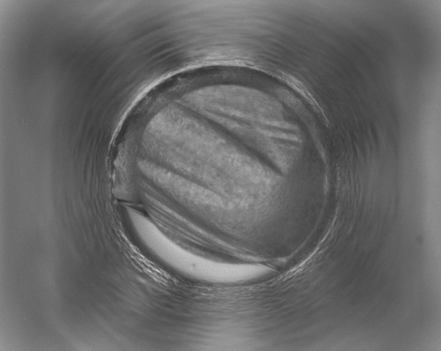 X0000058760926200510171155