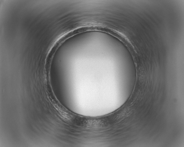 X0000058760927200510171155