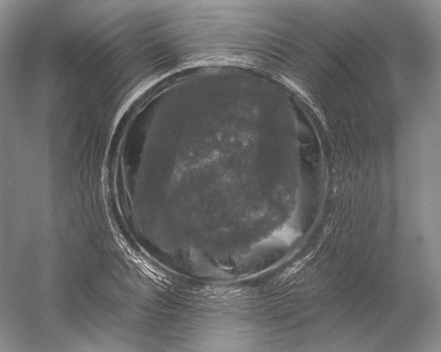 X0000058760928200510171155
