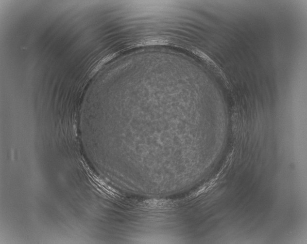 X0000058760929200510171155