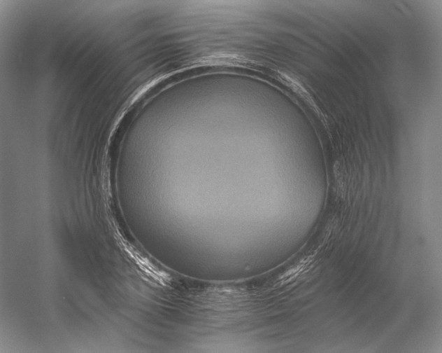 X0000058760931200510171155