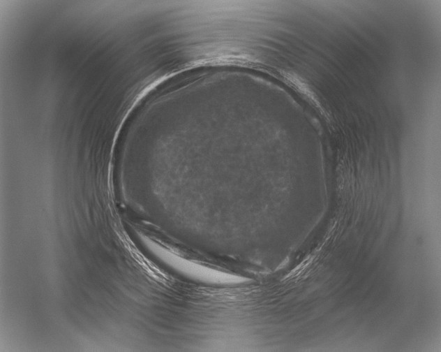 X0000058760932200510171155