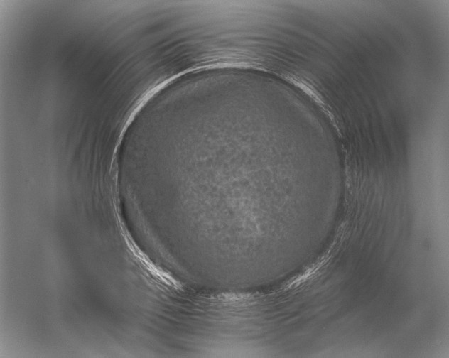 X0000058760933200510171155