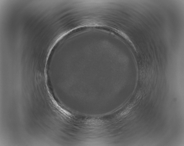 X0000058760935200510171155