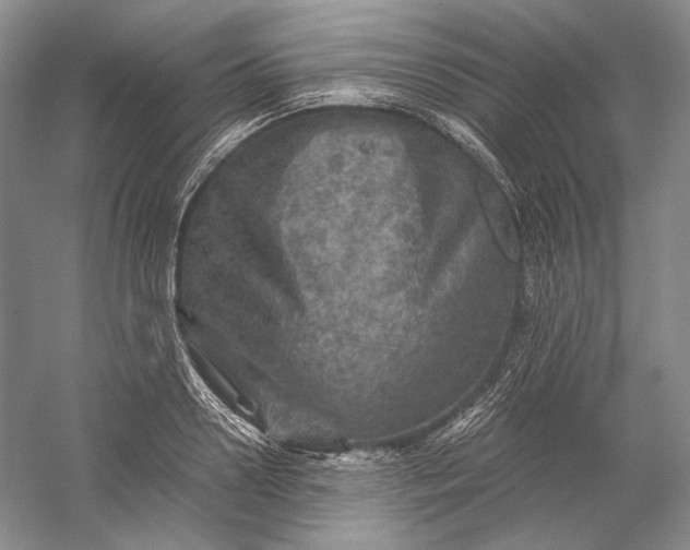 X0000058760938200510171155