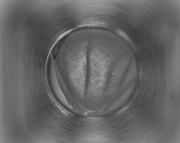 X0000058760940200510171155