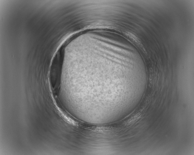 X0000058760942200510171155