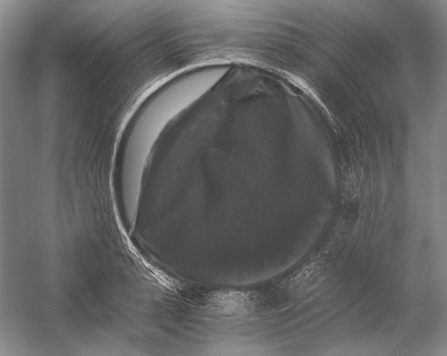 X0000058760943200510171155
