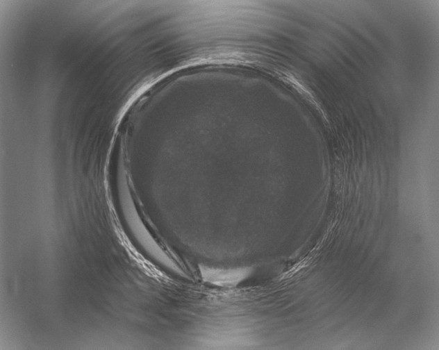 X0000058760944200510171155