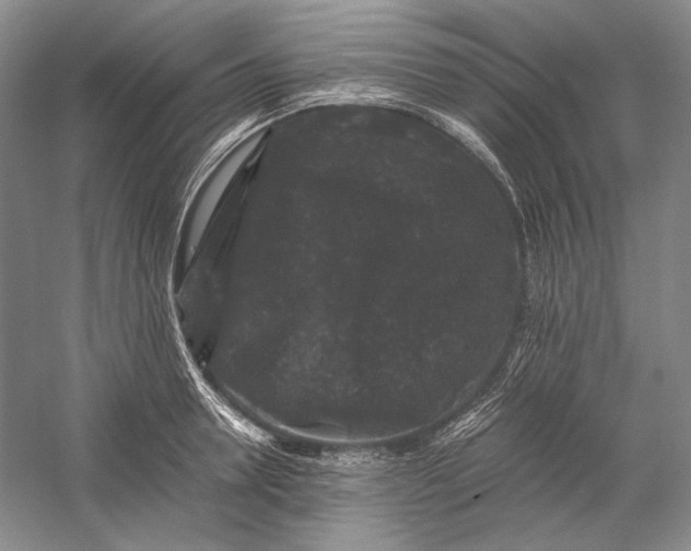 X0000058760946200510171155