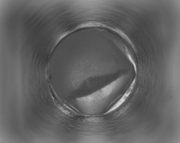 X0000058760953200510171155