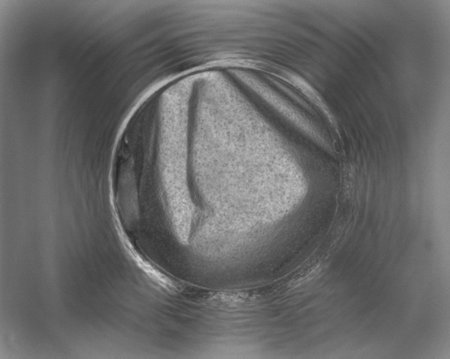 X0000058760955200510171155