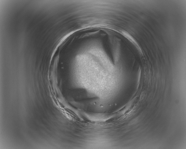 X0000058760956200510171155