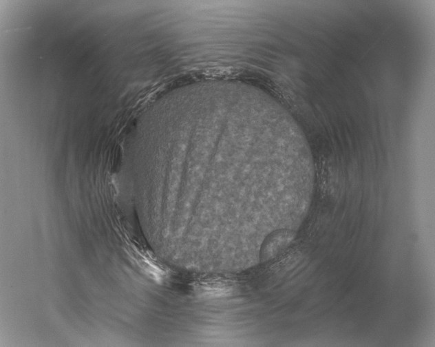 X0000058760962200510171155
