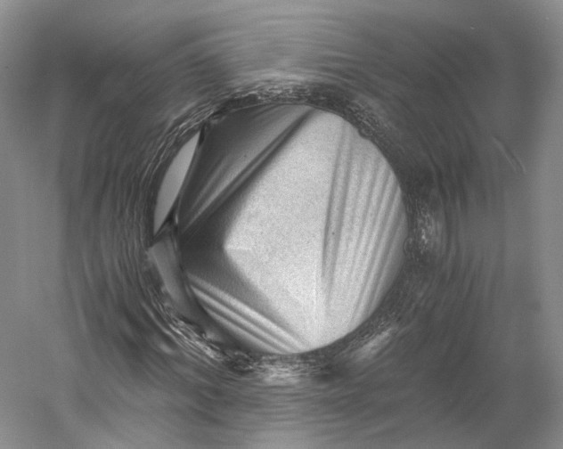 X0000058760964200510171155