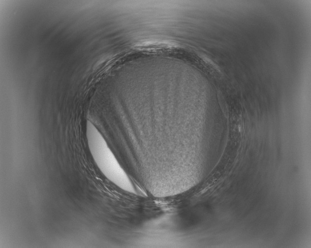 X0000058760965200510171155