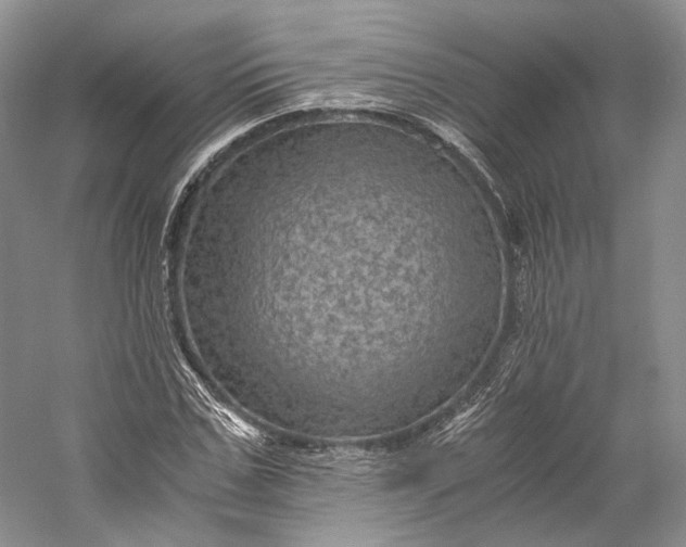 X0000058760971200510171155