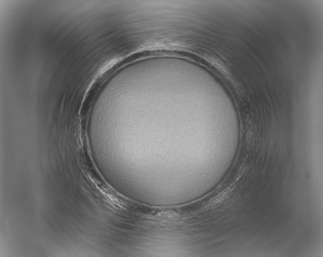 X0000058760974200510171155