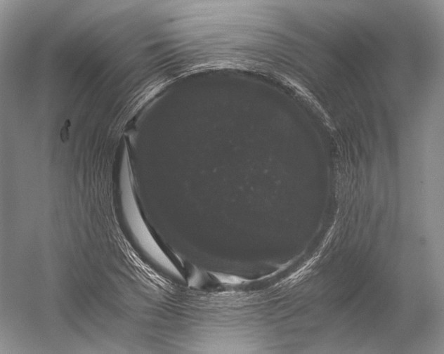 X0000058760977200510171154