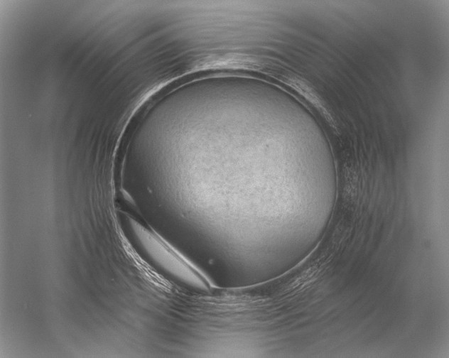 X0000058760980200510171154