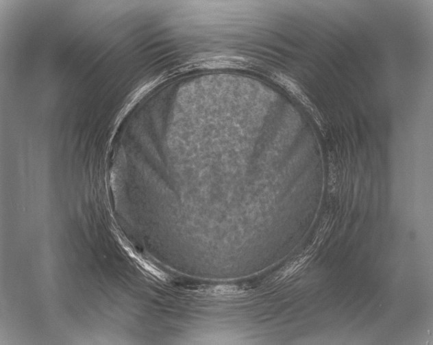 X0000058760986200510171154