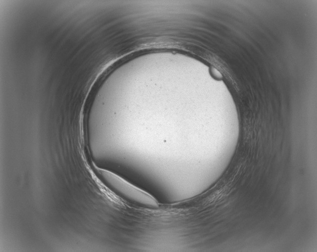 X0000058760988200510171154