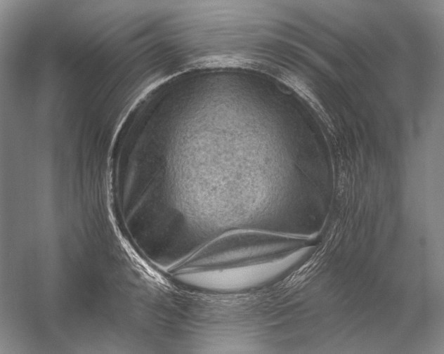 X0000058760992200510171154