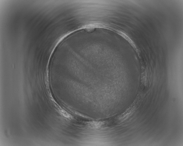 X0000058760996200510171154
