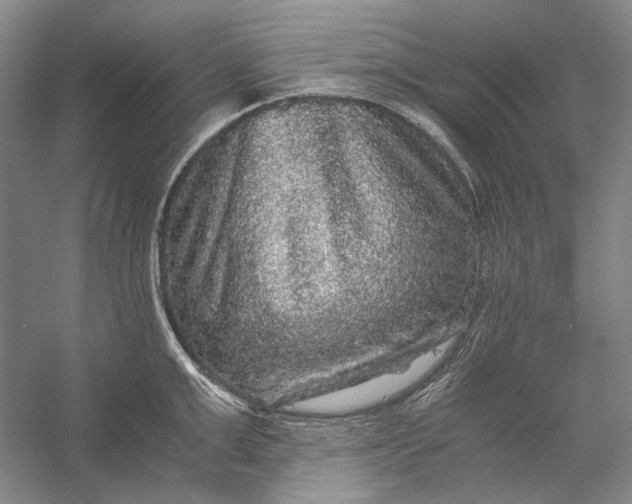 X0000058760999200510171154