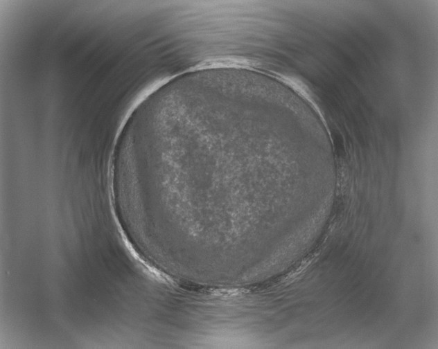 X0000058761003200510171154
