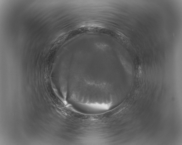 X0000058761014200510171153