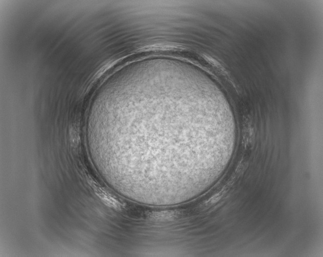 X0000058761017200510171153