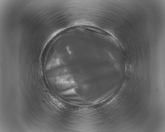 X0000058761022200510171153