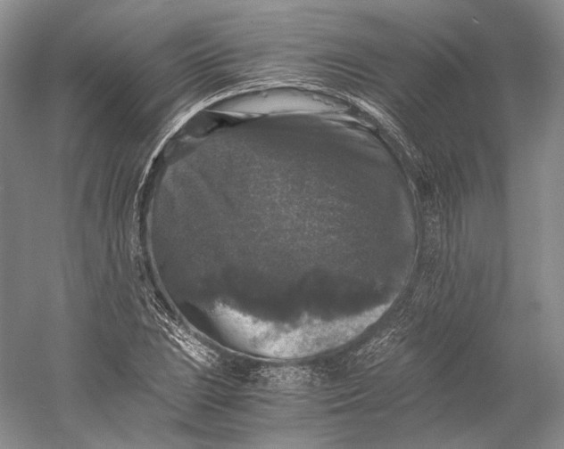 X0000058761023200510171153