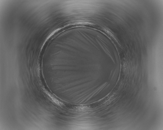 X0000058761024200510171153