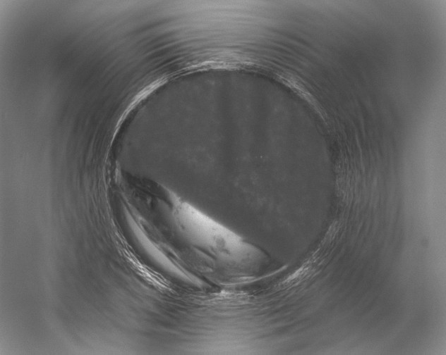 X0000058761026200510171153