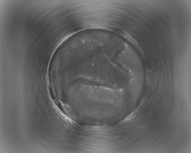 X0000058761028200510171153