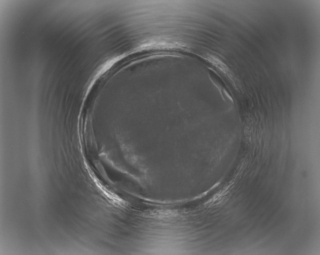X0000058761030200510171153