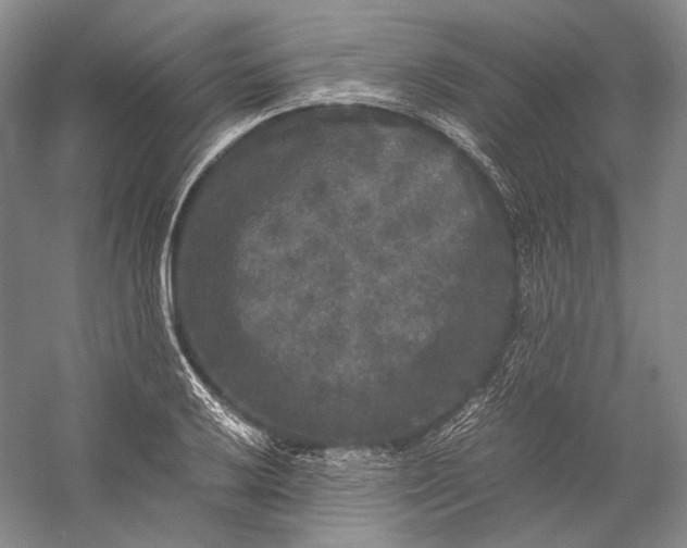 X0000058761032200510171153
