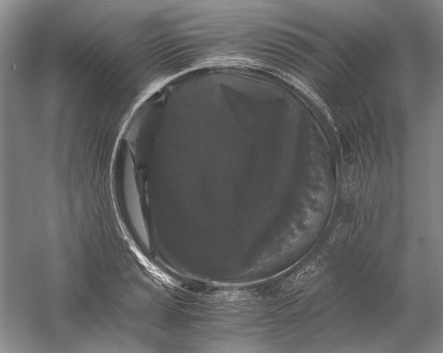 X0000058761037200510171154